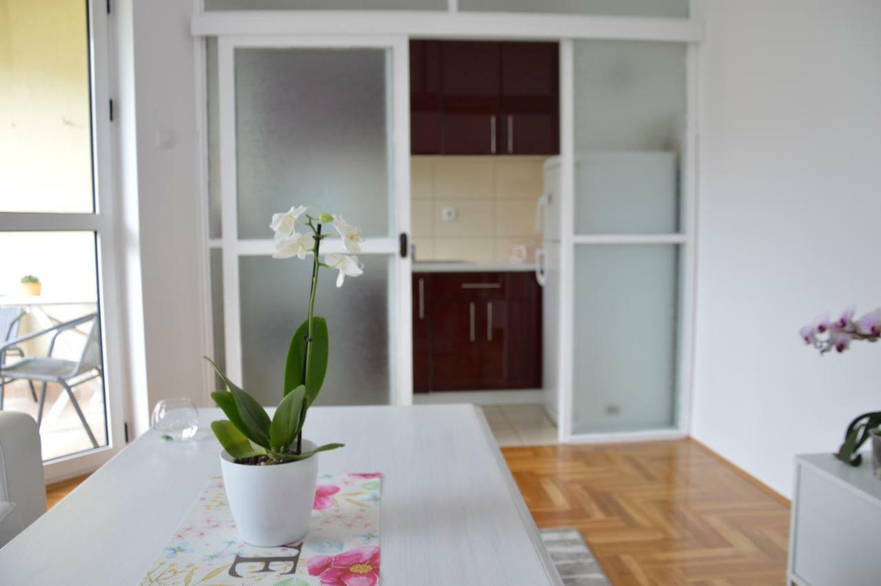 Apartman Biser Daire Trebin Dış mekan fotoğraf